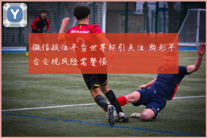 微信投注平台世界杯引关注 购彩平台合规风险需警惕