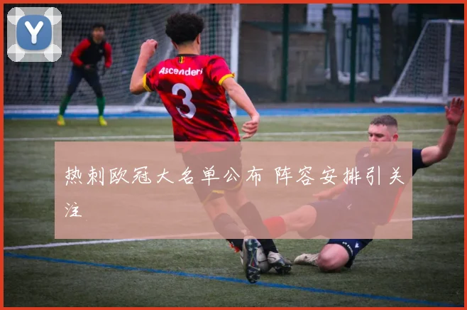 热刺欧冠大名单公布 阵容安排引关注