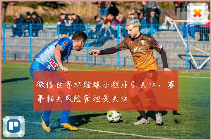 微信世界杯赌球小程序引关注，赛事相关风险管控受关注